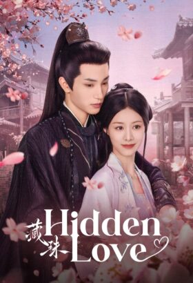 مسلسل الصيني Hidden Love / الحب الخفي 2025 مترجم