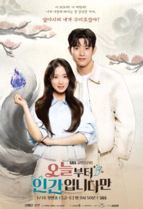 مسلسل الكوري حكاية بلا ذيول مترجم